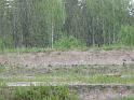heinola PM 2009 024